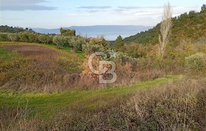 CB CLASS GÜNDOĞDU DENİZ MANZARALI TARLA