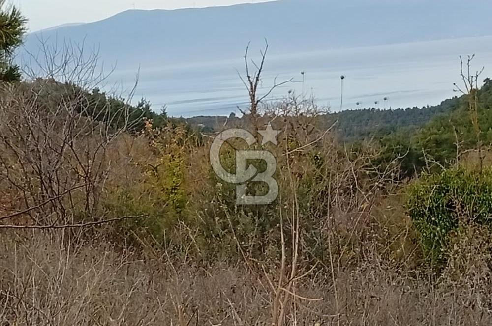 CB CLASS GÜNDOĞDU DENİZ MANZARALI TARLA