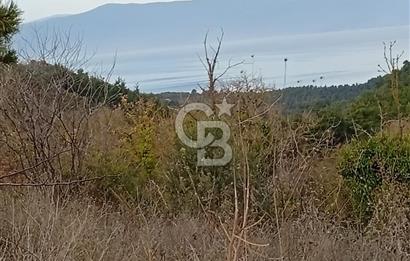 CB CLASS GÜNDOĞDU DENİZ MANZARALI TARLA