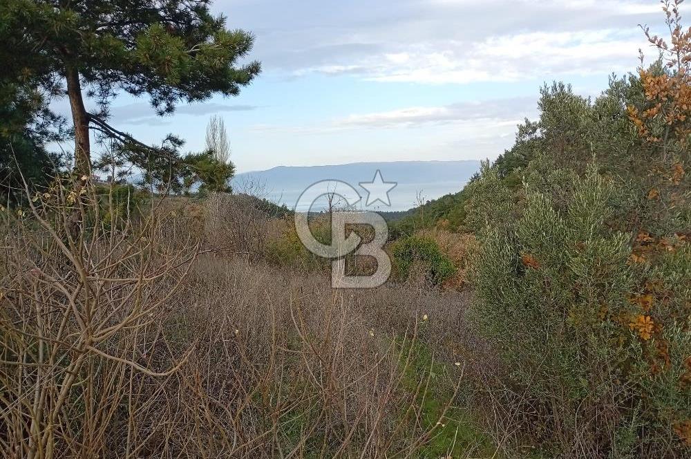 CB CLASS GÜNDOĞDU DENİZ MANZARALI TARLA