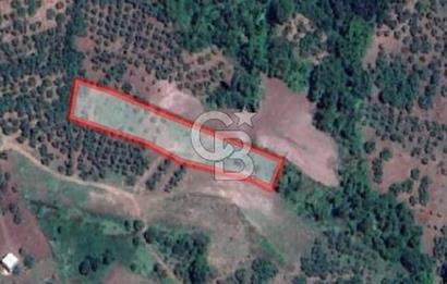 CB CLASS GÜNDOĞDU DENİZ MANZARALI TARLA