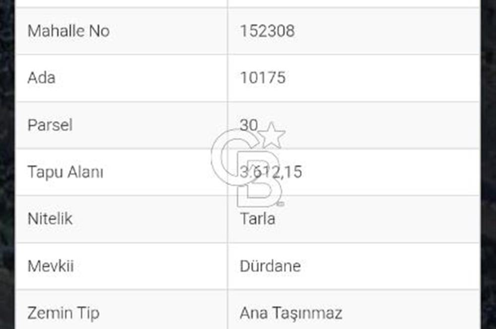 CB CLASS GÜNDOĞDU DENİZ MANZARALI TARLA
