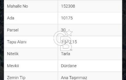 CB CLASS GÜNDOĞDU DENİZ MANZARALI TARLA