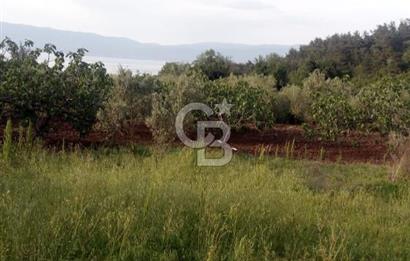 CB CLASS GÜNDOĞDU DENİZ MANZARALI TARLA