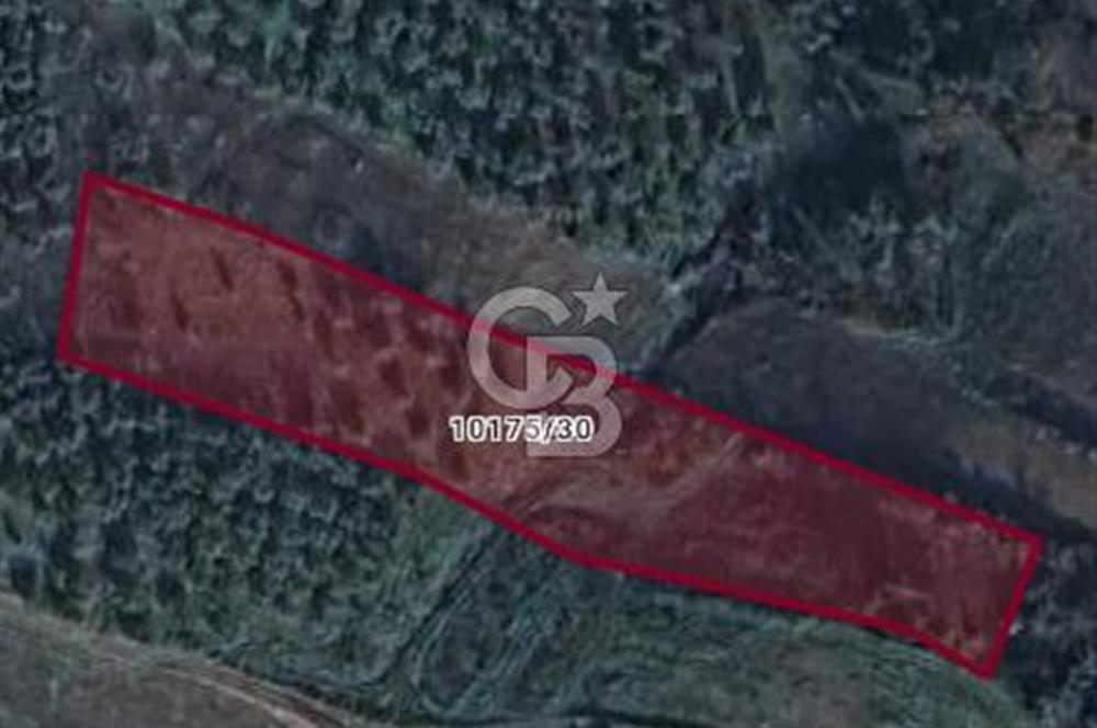 CB CLASS GÜNDOĞDU DENİZ MANZARALI TARLA