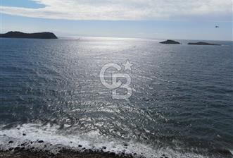 Dikili Denizköyde Denize Sıfır, Yola Cephe Zeytinlik - 7 - 342752