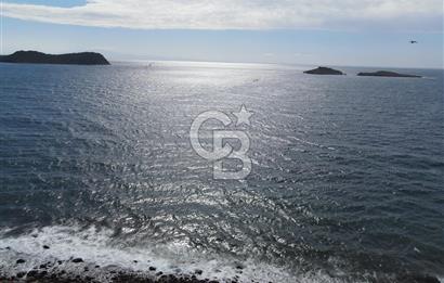 Dikili Denizköyde Denize Sıfır, Yola Cephe Zeytinlik