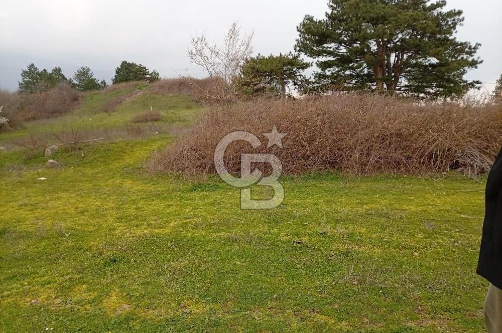 CB CLASS İNEGÖL YENİCE İMARLI SATILIKARSA