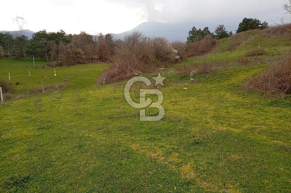 CB CLASS İNEGÖL YENİCE İMARLI SATILIKARSA