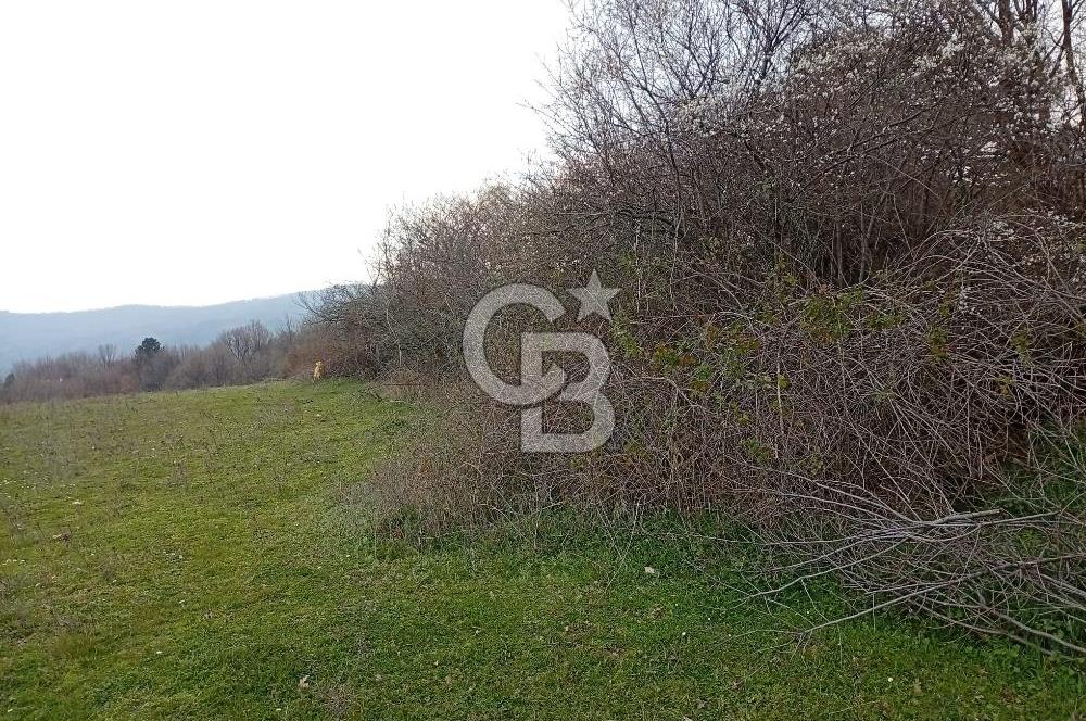 CB CLASS İNEGÖL YENİCE İMARLI SATILIKARSA