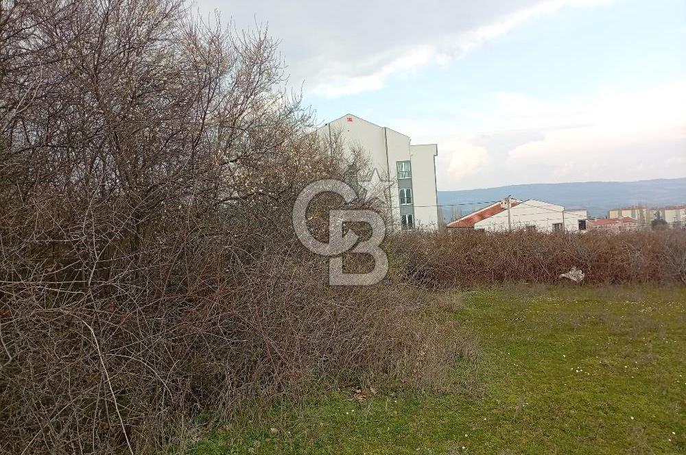 CB CLASS İNEGÖL YENİCE İMARLI SATILIKARSA