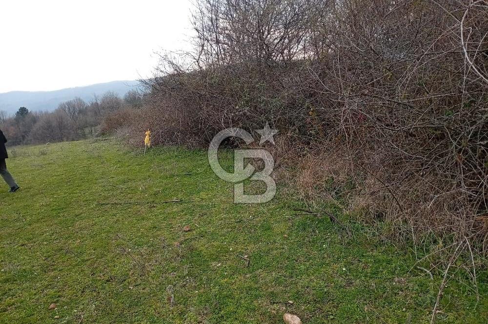 CB CLASS İNEGÖL YENİCE İMARLI SATILIKARSA