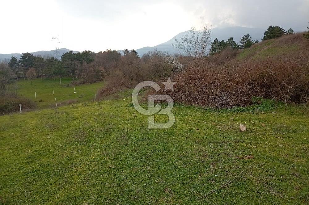 CB CLASS İNEGÖL YENİCE İMARLI SATILIKARSA