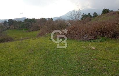 CB CLASS İNEGÖL YENİCE İMARLI SATILIKARSA