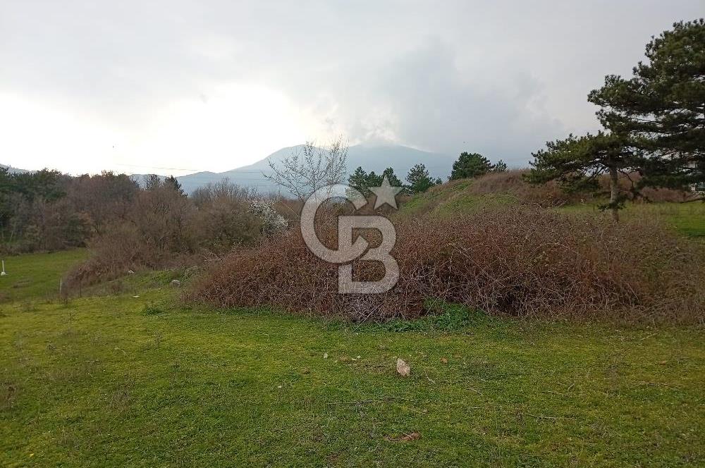 CB CLASS İNEGÖL YENİCE İMARLI SATILIKARSA