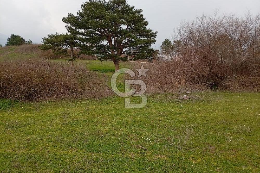 CB CLASS İNEGÖL YENİCE İMARLI SATILIKARSA