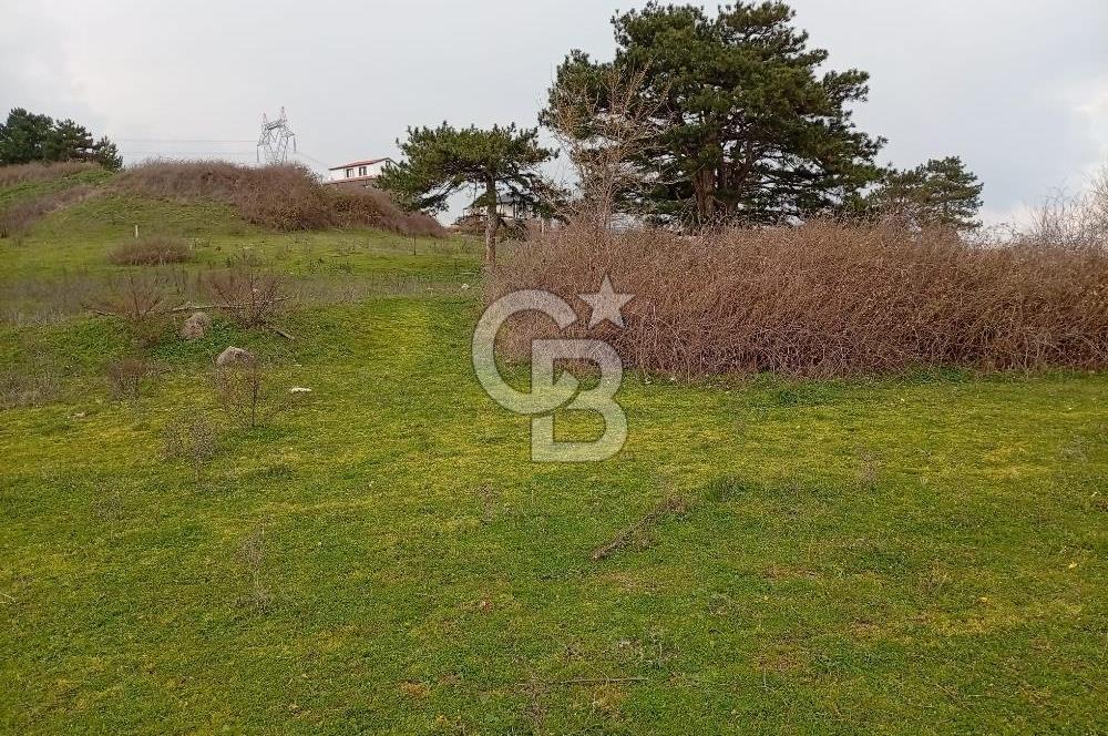 CB CLASS İNEGÖL YENİCE İMARLI SATILIKARSA