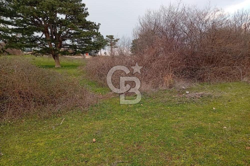 CB CLASS İNEGÖL YENİCE İMARLI SATILIKARSA