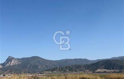 Honaz Kocabaşta Yerleşime Yakın Sulak 70,062 M2 Satılık Arazi