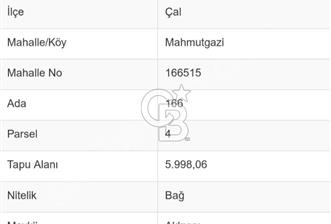 Denizli Çal Mahmutgazi 9 Yaşında Bakımlı Verimli Bağ - 9 - 342733
