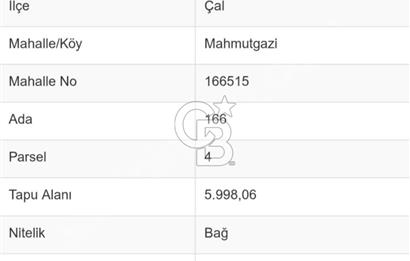 Denizli Çal Mahmutgazi 9 Yaşında Bakımlı Verimli Bağ