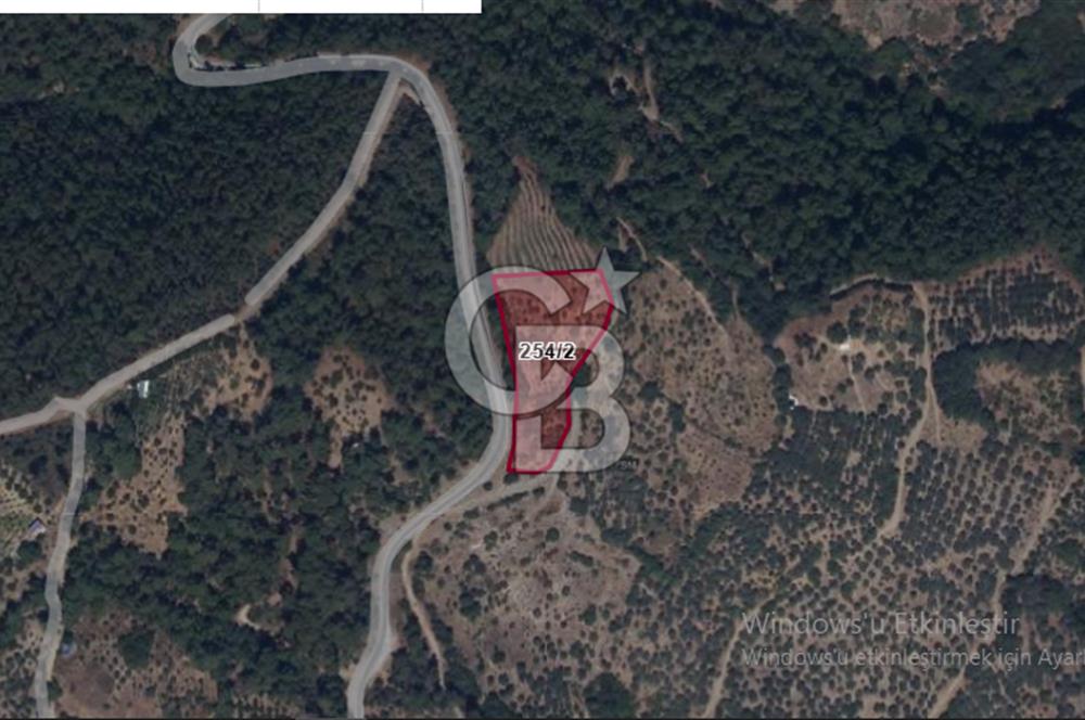 İZMİR BAYINDIR HİSAR MAH. ANA YOLA CEPHELİ SATILIK KİRAZLIK.....