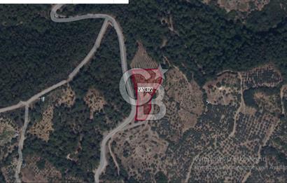 İZMİR BAYINDIR HİSAR MAH. ANA YOLA CEPHELİ SATILIK KİRAZLIK.....