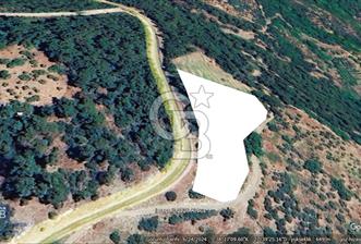 İZMİR BAYINDIR HİSAR MAH. ANA YOLA CEPHELİ SATILIK KİRAZLIK..... - 1 - 342713