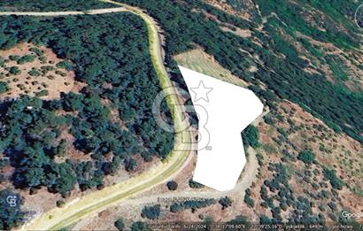 İZMİR BAYINDIR HİSAR MAH. ANA YOLA CEPHELİ SATILIK KİRAZLIK.....