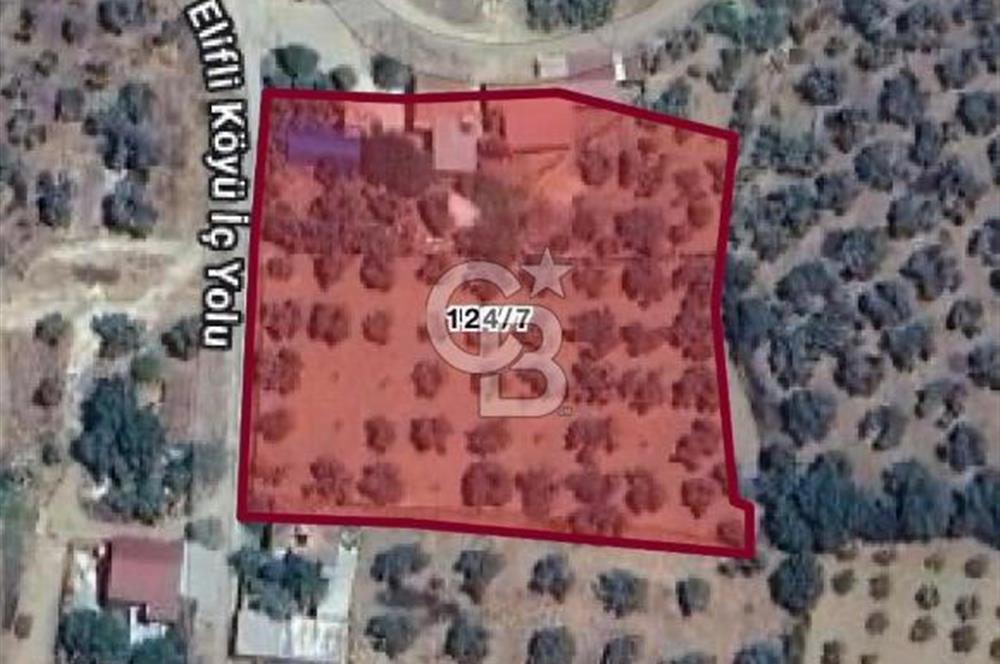 İZMİR BAYINDIR ELİFLİ KÖYÜNDE SATILIK ZEYTİNLİK & İMARLI ARSA