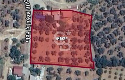 İZMİR BAYINDIR ELİFLİ KÖYÜNDE SATILIK ZEYTİNLİK & İMARLI ARSA