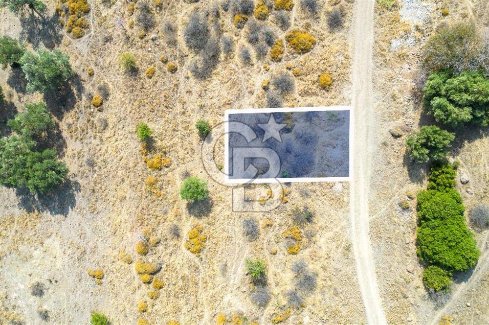 Yenifoça Cumhuriyet Mah. Satılık Arsa