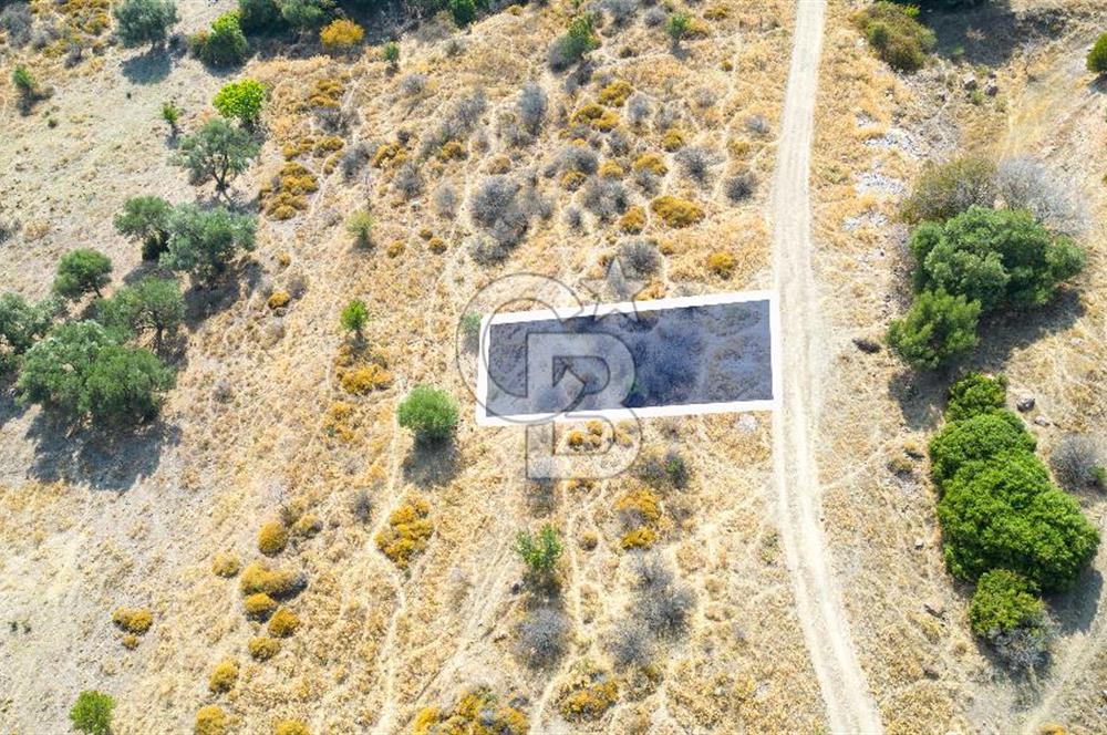 Yenifoça Cumhuriyet Mah. Satılık Arsa