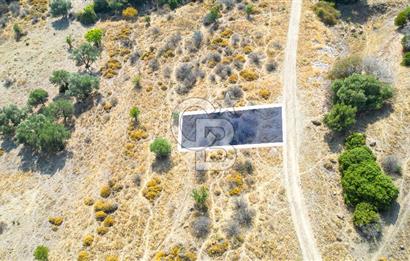 Yenifoça Cumhuriyet Mah. Satılık Arsa