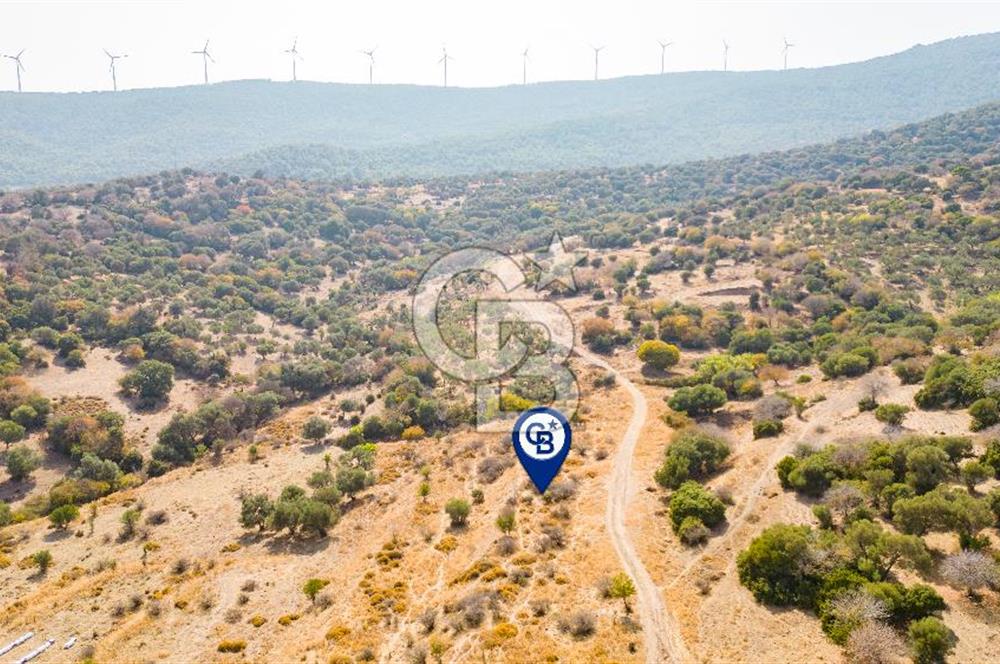 Yenifoça Cumhuriyet Mah. Satılık Arsa