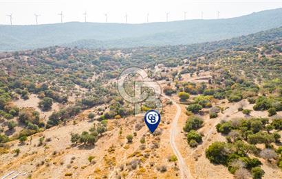 Yenifoça Cumhuriyet Mah. Satılık Arsa