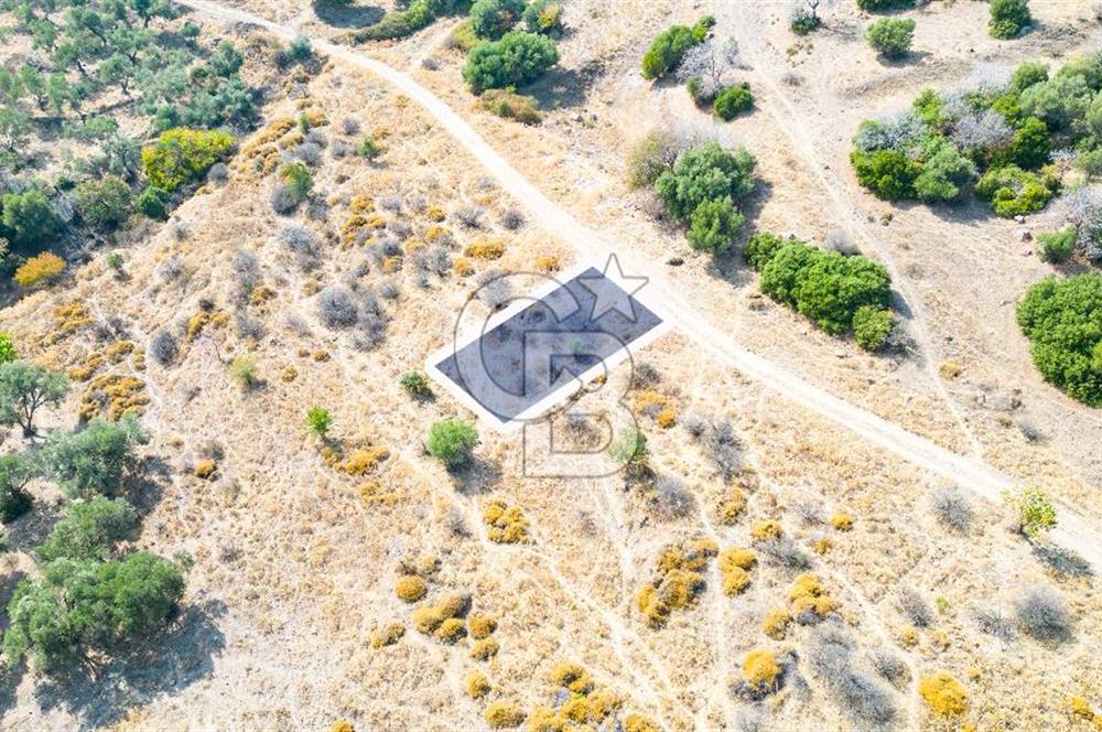 Yenifoça Cumhuriyet Mah. Satılık Arsa