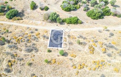 Yenifoça Cumhuriyet Mah. Satılık Arsa