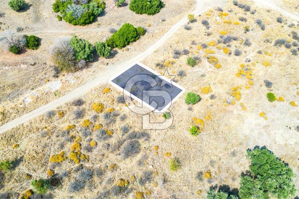 Yenifoça Cumhuriyet Mah. Satılık Arsa