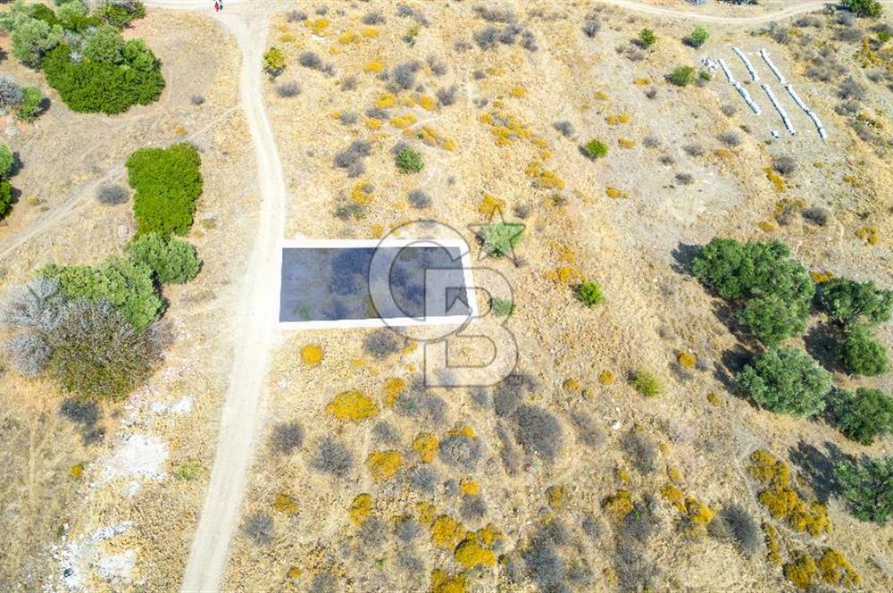 Yenifoça Cumhuriyet Mah. Satılık Arsa