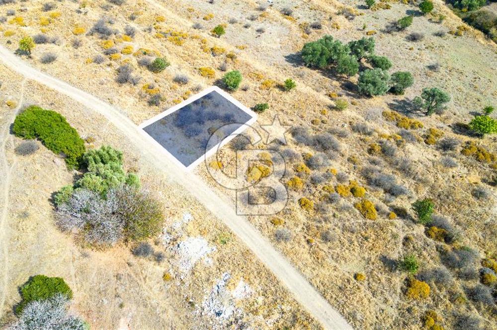 Yenifoça Cumhuriyet Mah. Satılık Arsa