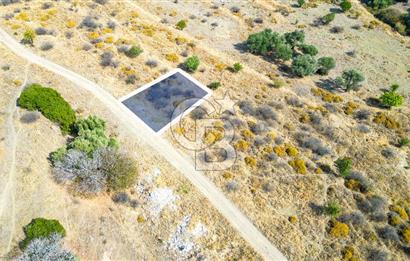 Yenifoça Cumhuriyet Mah. Satılık Arsa