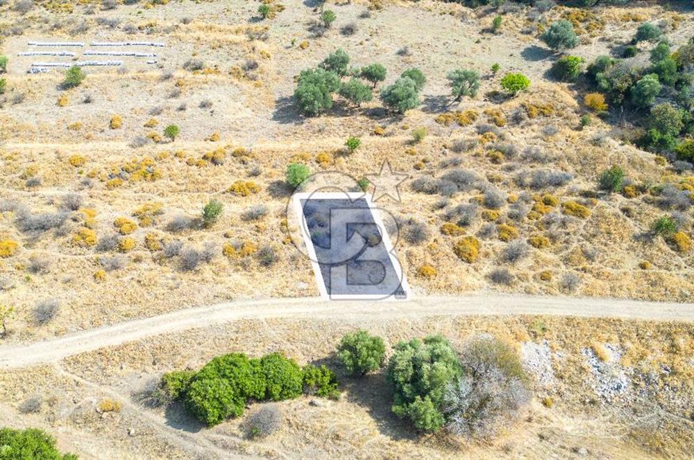 Yenifoça Cumhuriyet Mah. Satılık Arsa