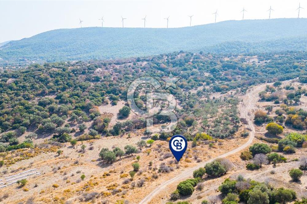 Yenifoça Cumhuriyet Mah. Satılık Arsa