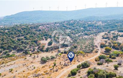 Yenifoça Cumhuriyet Mah. Satılık Arsa