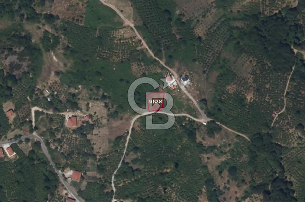 ZONGULDAK EREĞLİ ÜÇKÖY SATILIK 655M2 TEK TAPU ARSA