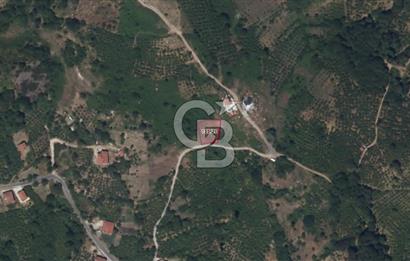 ZONGULDAK EREĞLİ ÜÇKÖY SATILIK 655M2 TEK TAPU ARSA