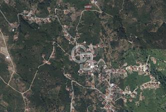 ZONGULDAK EREĞLİ ÜÇKÖY SATILIK 655M2 TEK TAPU ARSA - 2 - 342799