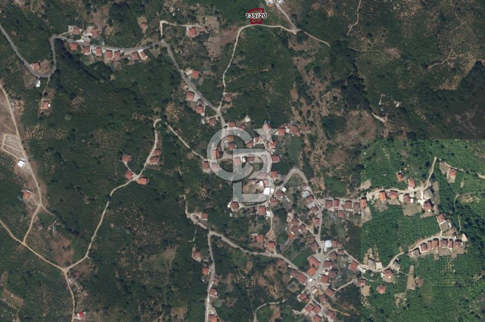 ZONGULDAK EREĞLİ ÜÇKÖY SATILIK 655M2 TEK TAPU ARSA