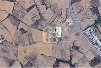 EDİRNE UZUNKÖPRÜ KIRCASALİH’TE SATILIK TARLA – YATIRIM FIRSATI - 5 - 342804